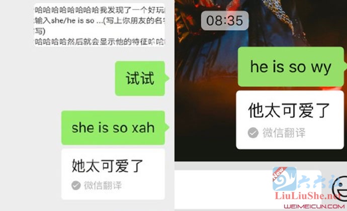 微信新玩法“输入she is so”火了 - 星乐社