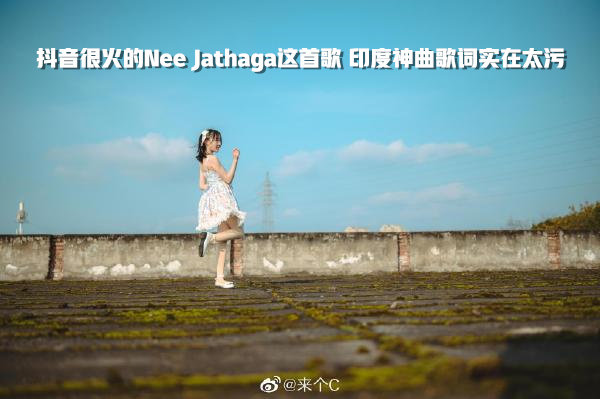 (Nee Jathaga)抖音很火的歌 你知道歌词到底有多污吗？ - 星乐社